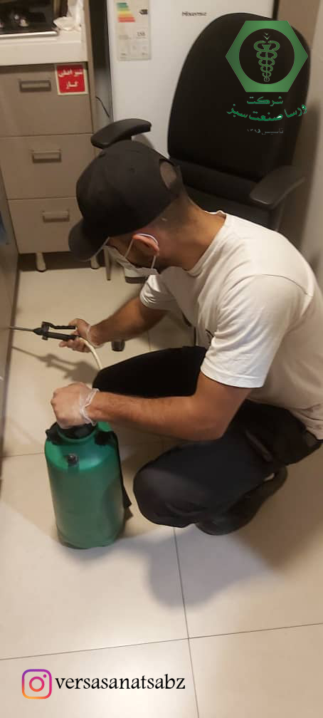 سمپاشی سوسک ریز چگپنه است؟+عکس